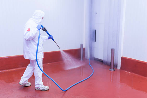 Best Paint Preparation  in Sackets Harbor, NY